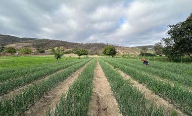 terreno de venta en charapoto manabi