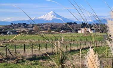 Venta Parcela Condominio Linea Nueva