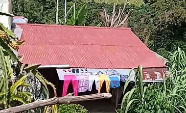 FINCA CON CAFÉ DE TRABAJO FAVORABLE EN AMALFI ANTIOQUIA COLOMBIA.