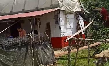 FINCA CON CAFÉ DE TRABAJO FAVORABLE EN AMALFI ANTIOQUIA COLOMBIA.