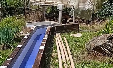 FINCA CON CAFÉ DE TRABAJO FAVORABLE EN AMALFI ANTIOQUIA COLOMBIA.