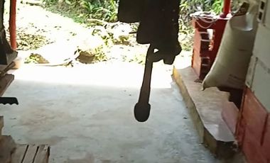 FINCA CON CAFÉ DE TRABAJO FAVORABLE EN AMALFI ANTIOQUIA COLOMBIA.