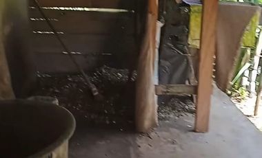 FINCA CON CAFÉ DE TRABAJO FAVORABLE EN AMALFI ANTIOQUIA COLOMBIA.