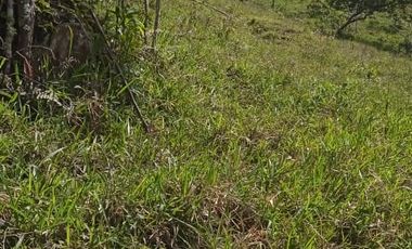 FINCA CON CAFÉ DE TRABAJO FAVORABLE EN AMALFI ANTIOQUIA COLOMBIA.