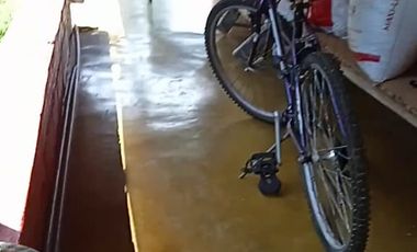 FINCA CON CAFÉ DE TRABAJO FAVORABLE EN AMALFI ANTIOQUIA COLOMBIA.