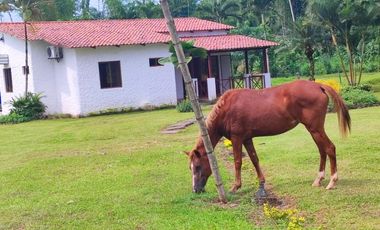 F30 - Venta Finca en Bucay San Rafael - quinta - hacienda - vendo