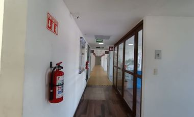 Locales comerciales Nuevos en renta en Plaza San Rafael