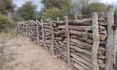 VENTA HECTAREAS EN CHEPES LA RIOJA