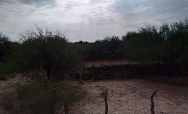 VENTA HECTAREAS EN CHEPES LA RIOJA