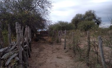 VENTA HECTAREAS EN CHEPES LA RIOJA