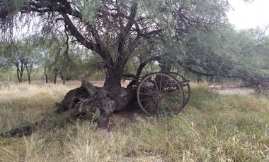 VENTA HECTAREAS EN CHEPES LA RIOJA