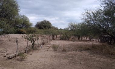 VENTA HECTAREAS EN CHEPES LA RIOJA