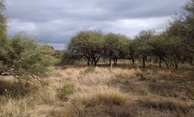 VENTA HECTAREAS EN CHEPES LA RIOJA