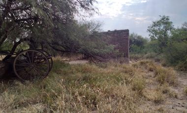 VENTA HECTAREAS EN CHEPES LA RIOJA
