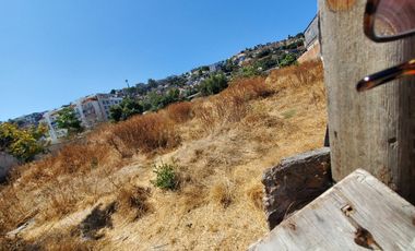 Terreno en Venta en Buena Vista