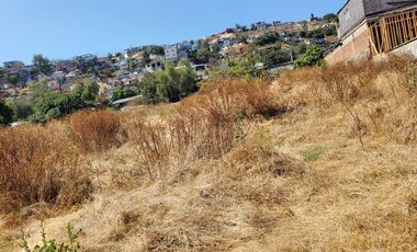 Terreno en Venta en Buena Vista