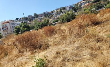 Terreno en Venta en Buena Vista