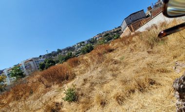 Terreno en Venta en Buena Vista