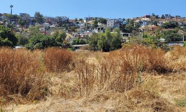 Terreno en Venta en Buena Vista