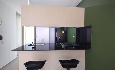Apartamento amoblado en arriendo en Alto Prado.
