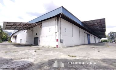 Factory or Warehouse 9,900 sqm for RENT at Huai Pong, Mueang Rayong, Rayong/ 泰国仓库/工厂，出租/出售 (Property ID: AT399R)