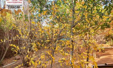 🏠León Propiedades vende casa en Camino los Naranjos, Curacavi🏠