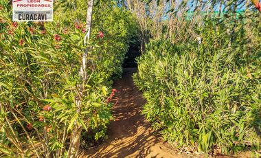 🏠León Propiedades vende casa en Camino los Naranjos, Curacavi🏠