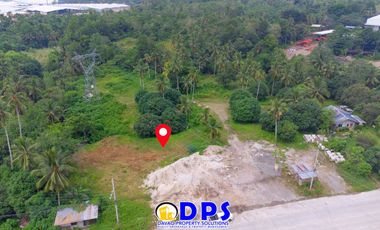 Industrial Lot for Sale in Mahayag Bunawan Davao City, Along cemented National Highway