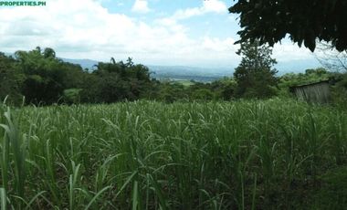 A 1-hectare farm located in San Carlos, Valencia City, Bukidnon