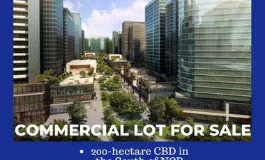 2065 SQM Great Investment Corner Commercial Lot for Sale in Evo City