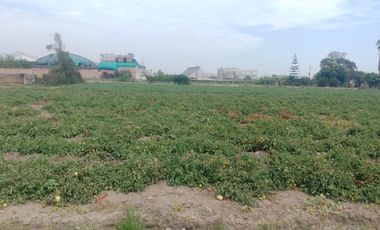 (M)VENDO ECELENTE TERRENO CHANCAY KLM. 84 ESPALDAS DE ARCOR