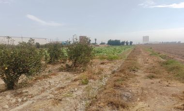 (M)VENDO ECELENTE TERRENO CHANCAY KLM. 84 ESPALDAS DE ARCOR