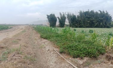 (M)VENDO ECELENTE TERRENO CHANCAY KLM. 84 ESPALDAS DE ARCOR