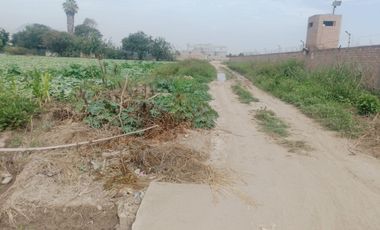 (M)VENDO ECELENTE TERRENO CHANCAY KLM. 84 ESPALDAS DE ARCOR