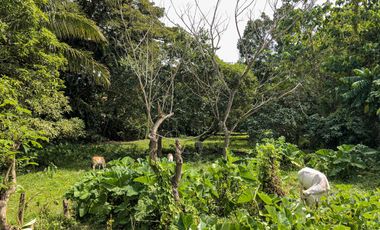 Lot For Lease (Tagbilaran City)