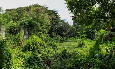 Lot For Lease (Tagbilaran City)