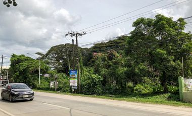 Lot For Lease (Tagbilaran City)