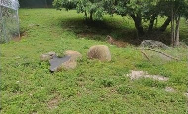 Terreno en venta en Tepoztlán Morelos, en zona tranquila