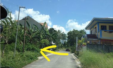 Perfect Location For The Family!