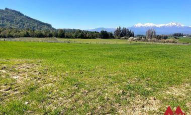 Venta Terrenos Vilches Bajo, San Clemente, Talca