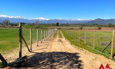 Venta Terrenos Vilches Bajo, San Clemente, Talca