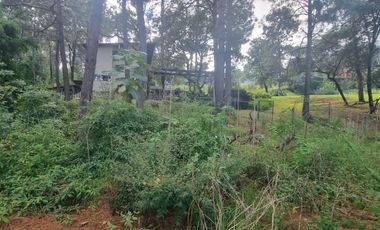 MAGNIFICO TERRENO EN VENTA, AVANDARO