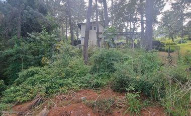 MAGNIFICO TERRENO EN VENTA, AVANDARO