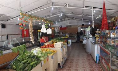 Mini Supermercado y 2 Casas - Terreno 1800m2 – Peñaflor –Cod190074