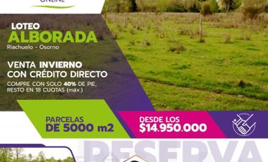 VENDE PARCELAS 5000 M2, CON CREDITO DIRECTO (RIA CHUELO-OSORNO)”