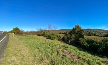 Campo en venta en Fresia - Santa María - 30 hectáreas