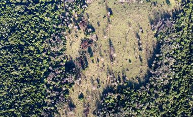 Campo en venta en Fresia - Santa María - 30 hectáreas