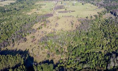 Campo en venta en Fresia - Santa María - 30 hectáreas