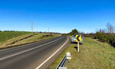 Campo en venta en Fresia - Santa María - 30 hectáreas