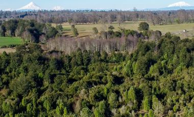 Campo en venta en Fresia - Santa María - 30 hectáreas